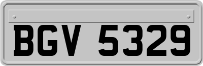 BGV5329