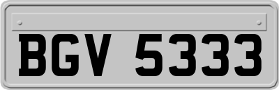 BGV5333