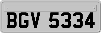 BGV5334