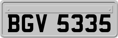 BGV5335