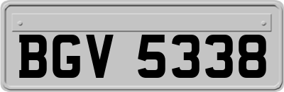 BGV5338