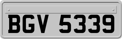 BGV5339