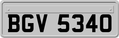 BGV5340