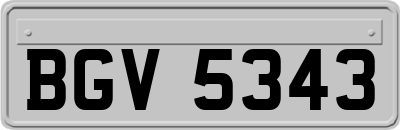 BGV5343