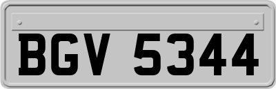 BGV5344