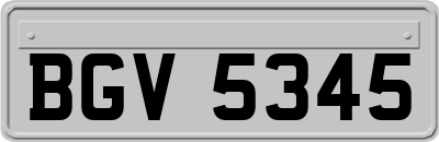 BGV5345