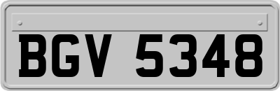 BGV5348