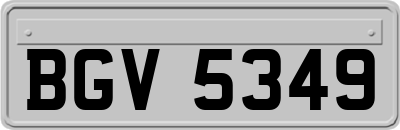 BGV5349