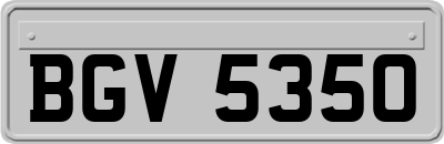 BGV5350