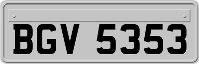 BGV5353