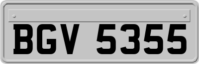 BGV5355
