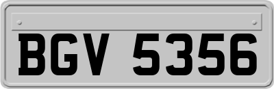 BGV5356