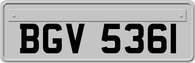 BGV5361