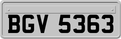 BGV5363