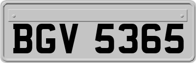 BGV5365