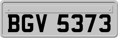 BGV5373