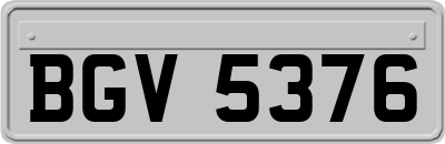 BGV5376