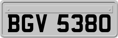 BGV5380