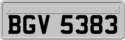 BGV5383