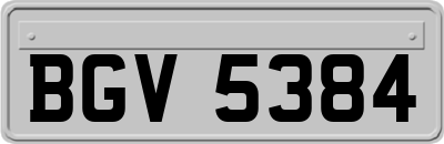 BGV5384