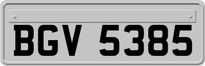 BGV5385