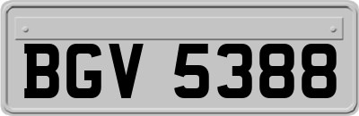 BGV5388