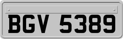 BGV5389