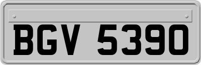 BGV5390