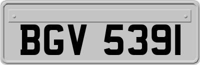 BGV5391