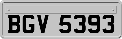 BGV5393