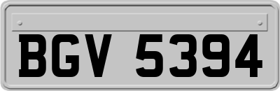BGV5394