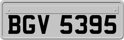 BGV5395