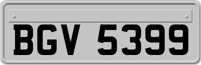 BGV5399
