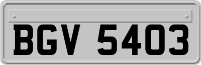 BGV5403