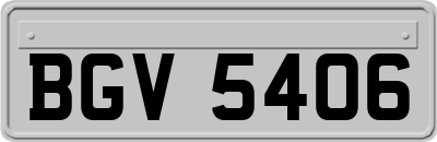 BGV5406