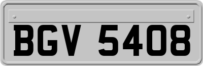 BGV5408