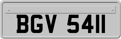 BGV5411
