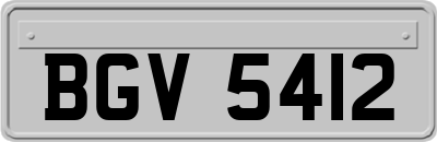 BGV5412