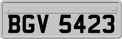 BGV5423