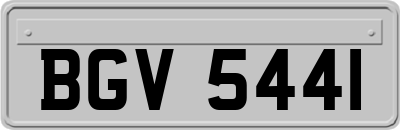 BGV5441