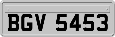 BGV5453