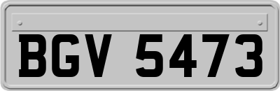 BGV5473