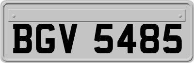 BGV5485