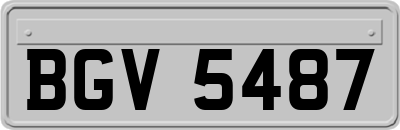 BGV5487