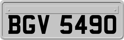 BGV5490