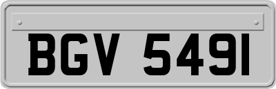 BGV5491