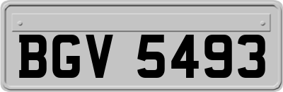 BGV5493