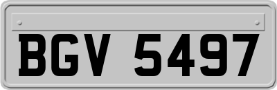 BGV5497