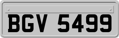 BGV5499