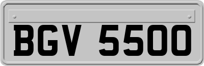 BGV5500